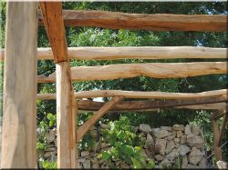 Antique wooden beams