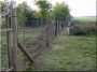 Construction de clôture sauvage