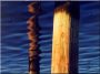 Bark Pine Column, Thin
