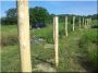 2,5 meters acacia pole