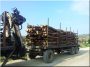 Log transport