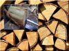 Split, cut firewood