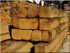 Oak sawn timber