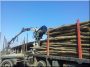 Log transport manually