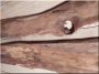 Antikes Sideboard aus Nussbaumholz
