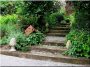 Escalier jardinier