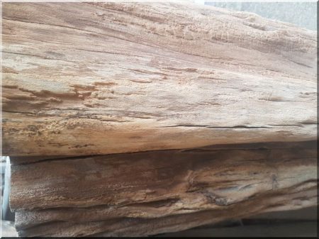 Acacia logs, purified spruce wood