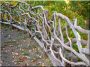 Branch fence, Zulu, 4 - 6 cm