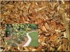 Etched locust mulch