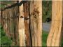 Rusztikus kerítések akác fából