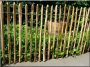 Rustic fence ideas