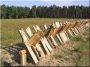 Rusztikus kerítések akác fából