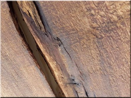 Antique walnut plank