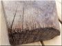 Antique walnut plank