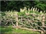 Éléments de clôture incurvés en bois d'acacia