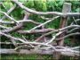 Görbe kerítéselemek akác fából