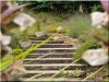 Garden stairs made of railway sleepers