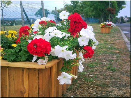 Rustic acacia flower box, 40x90x40 cm-es