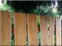 Large acacia plank (carpenter)