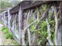 Branch fence, Zulu, 5 - 7 cm
