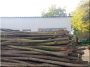 Holzpfahl Robinie für Zaunbau, 2 m