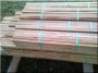 Stützpfahl aus Robinienholz, 25 x 25 mm, 2 m lang