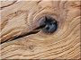 Sandblasting of antique wood
