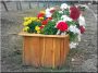 Rustic acacia flower box, 40x70x40 cm.