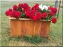 Rustic acacia flower box, 40x70x40 cm.
