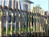 Echalas d-acacia traditionnel de 1,8 m