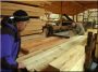 Oak lumber