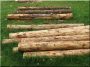 Debarked linden log, 14-18 cm