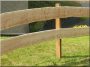 Oak fence plank