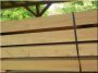Gesägte Akazienpfähle, 2,5 meter lang