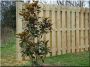 Pine fence element, 1,4 meter long