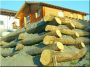 Debarked acacia log for retaining walls