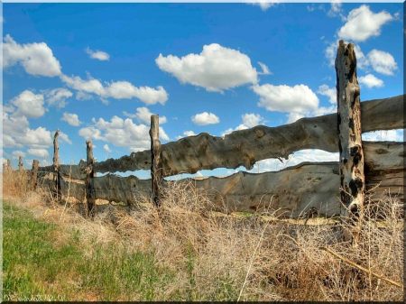 Ranch fence