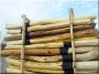Debarked and sanded acacia pole, 2,5 metres long