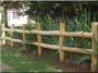 Fence pole from debarked and sanded acacia