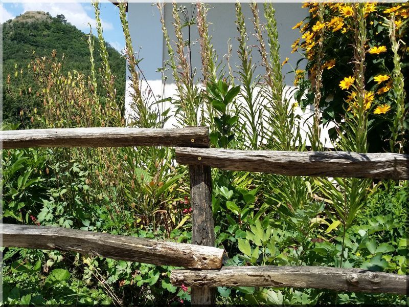 Kérgezett akác oszlop, 7 - 9 cm Kérgezett akác oszlop, 7 - 9 cm