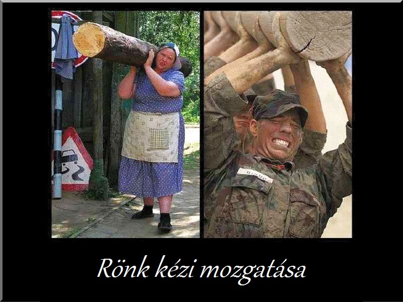 Faszállítás Faszállítás