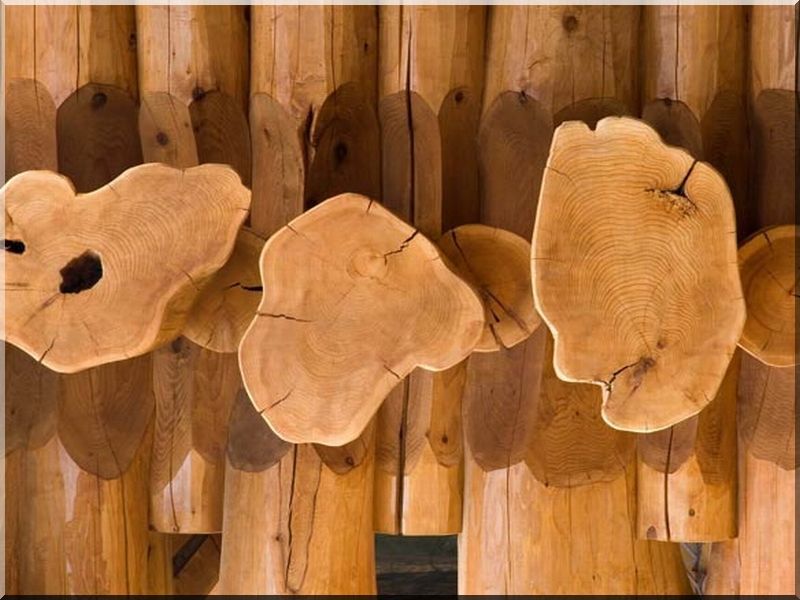 18 - 21 cm átmérőjű akác rönk 18 - 21 cm átmérőjű akác rönk