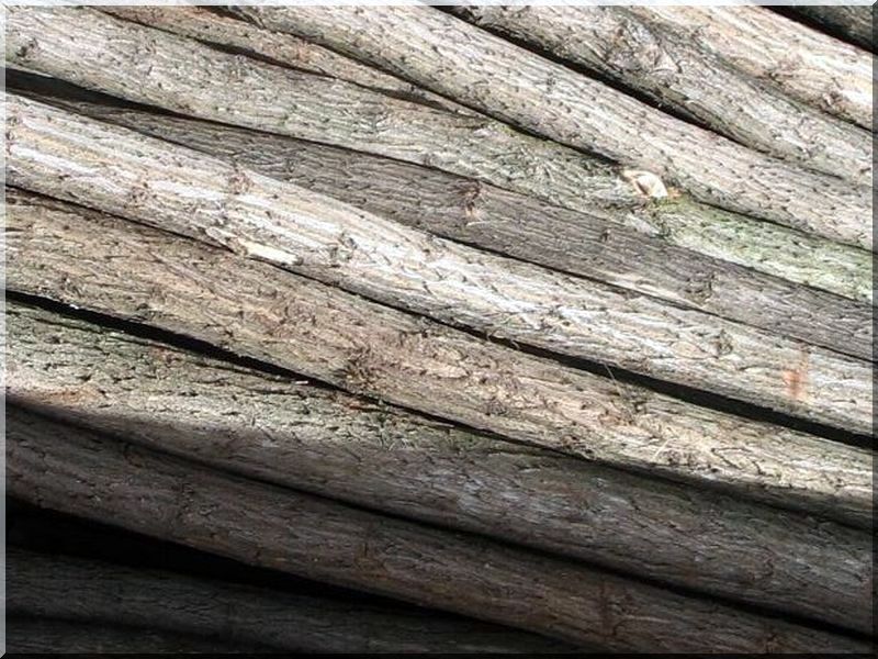 Akác karó, natúr, 1,8 méteres - Akác karó, natúr, 1,8 méteres -
