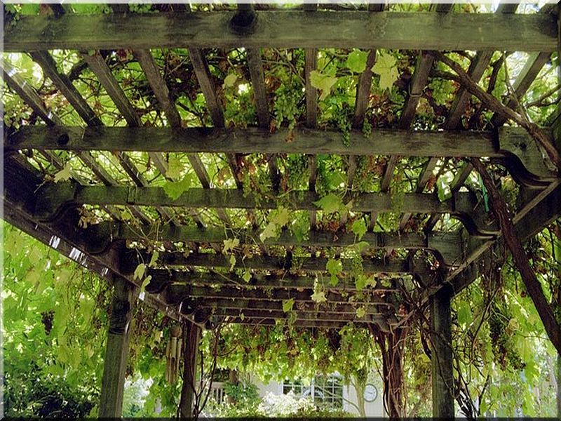 Gartenlauben, Pergola, Schattenspender im Garten - Garteneinfassung