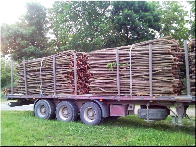 Akác oszlop kéregben, 3 méteres Akác oszlop kéregben, 3 méteres