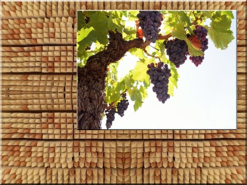 Karó, 3 x 3 x 150 cm- es Karó, 3 x 3 x 150 cm- es