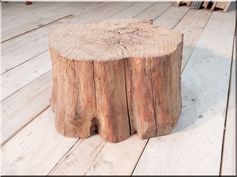 Berkenye rönk kis asztal Diy bútorok készítéséhez fa