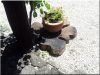 Tipegő, 8 cm vastag, akác fa Tipegő, 8 cm vastag, akác fa