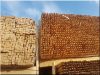Akác karó, 25 x 25 mm- es, 1,0 méter hosszú Akác karó, 25 x 25 mm- es, 1,0 méter hosszú
