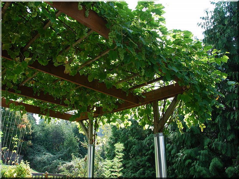 Pergola, lugas építése - Antik bútor, egyedi natúr fa és loft